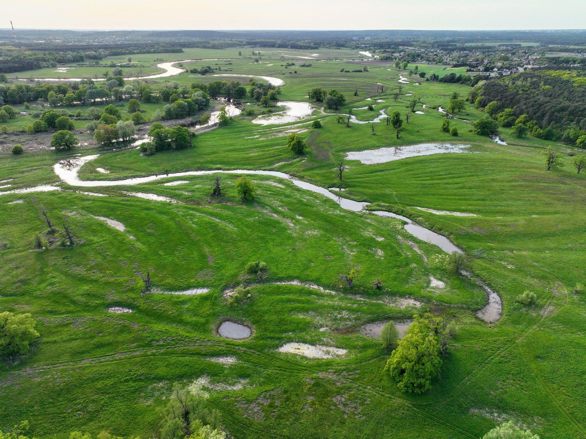 Rogaliński Park Krajobrazowy