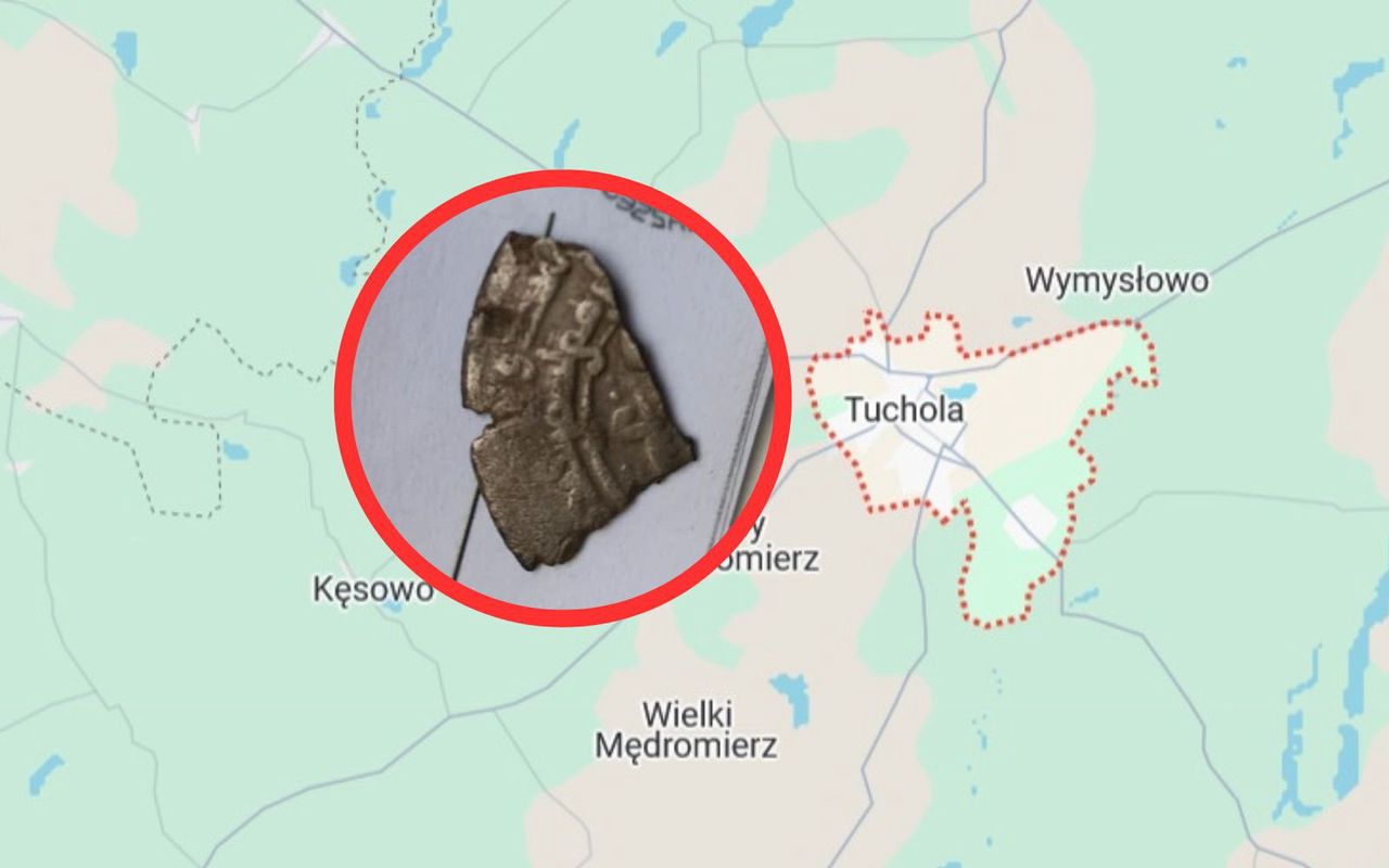 Ma setki lat. Trudno uwierzyć, skąd wzięła się w Polsce