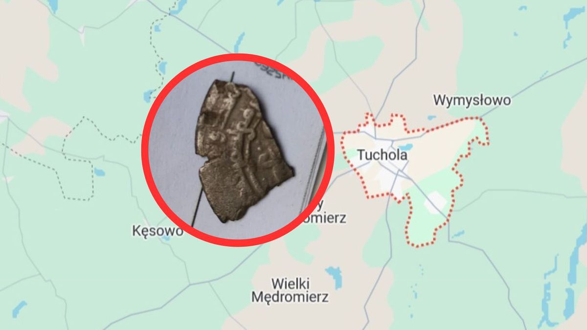 Arabska moneta znaleziona w rejonie Tucholi