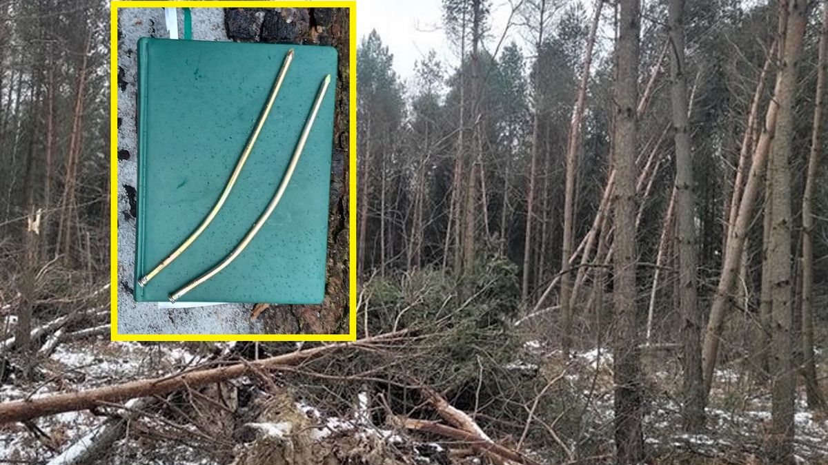 Leśniczy leśnictwa Podkowa Leśna zauważył, że do jednej ze sztuk drewna przygotowanego do wywozu nieznany sprawca przyczepił kartki z informacją dla nadleśnictwa. 