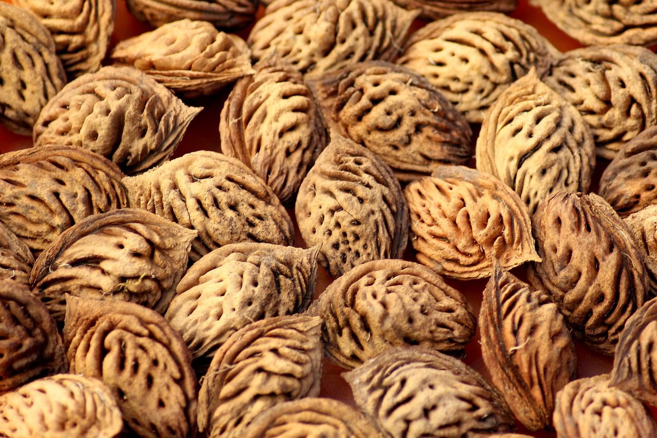 Pestki wielu owoców są źródłem amigdaliny