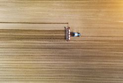 "Most zbożowy" z Ukrainy. Niemcy mają pomysł