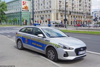 Straż miejska ma nowe uprawnienia. Mandaty już się sypią