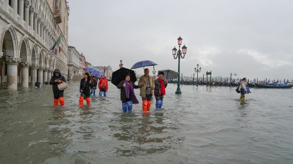 Powódź w Wenecji w 2020 r. Plac św. Marka pod wodą
