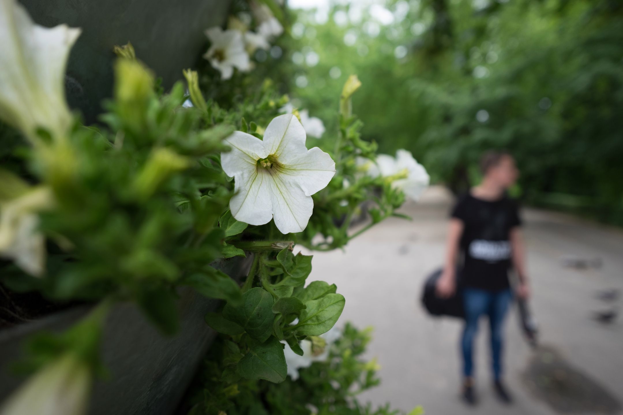 Fujifilm X-T10 – nowoczesny kompromis w dobrym stylu [test] 93