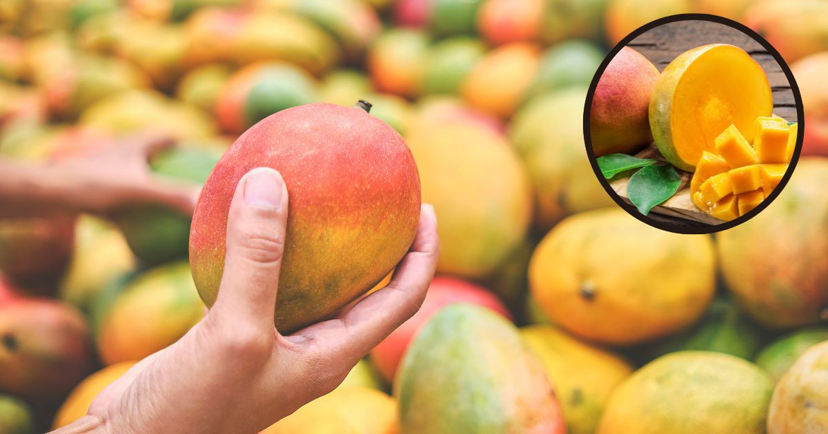 Jak wybrać dobre mango w sklepie Wystarczy pamiętać o 3 zasadach, każdy owoc będzie idealny - Pyszności; Foto: Canva.com