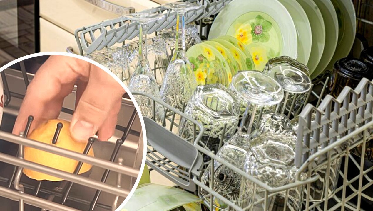 Why Should You Put Lemon Peel in the Dishwasher?