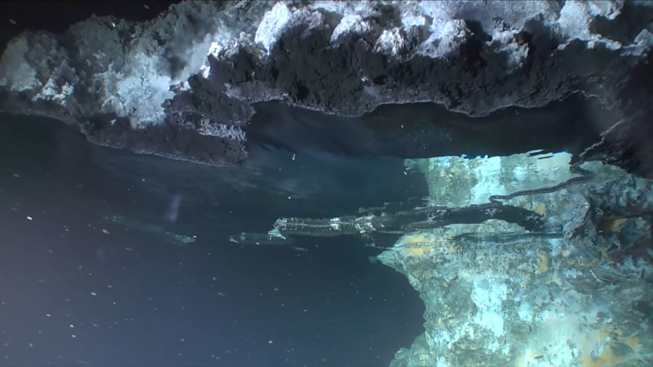 Niezwykłe odkrycie pod oceanem. Niespotykany widok