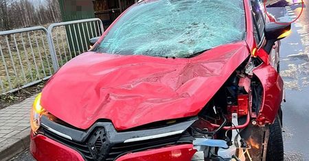 Renault zderzył się z łosiem na krajowej 82. Zwierzę nie przeżyło, kierowcy i pasażerce nic się nie stało
