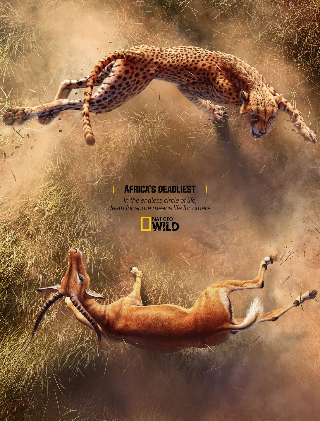 Zobacz, jak najnowsza kampania Nat Geo prezentuje krąg życia 3