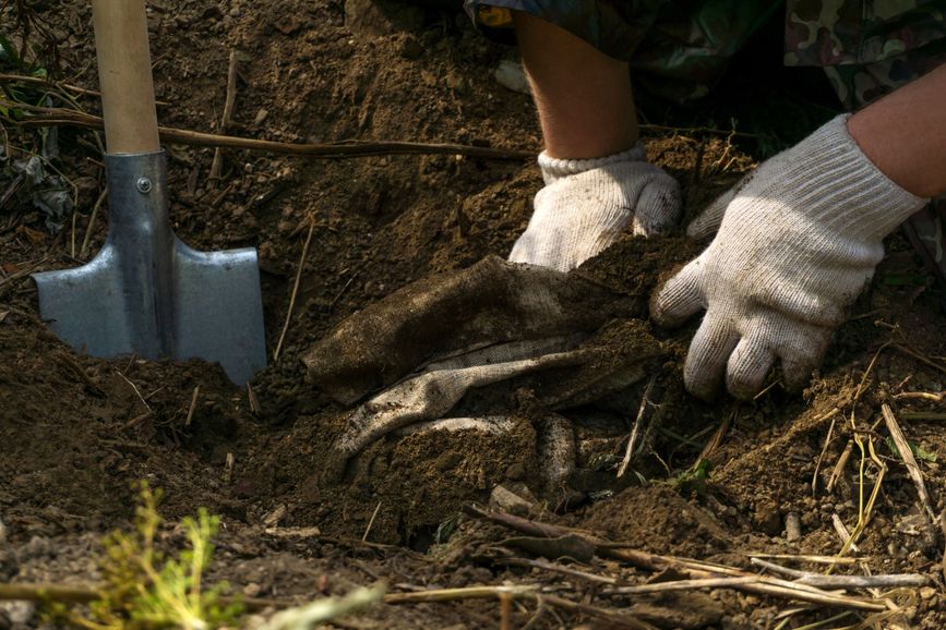 Znaleźli kolejny skarb. Leżał w puszczy na Podlasiu prawie 400 lat