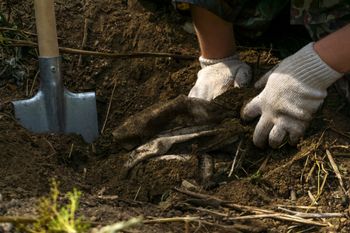 Znaleźli kolejny skarb. Leżał w puszczy na Podlasiu prawie 400 lat