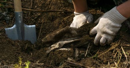 Znaleźli kolejny skarb. Leżał w puszczy na Podlasiu prawie 400 lat
