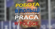 Polska chce powrotu cudzoziemców. Rząd szykuje przepisy, zapłacą niższe podatki