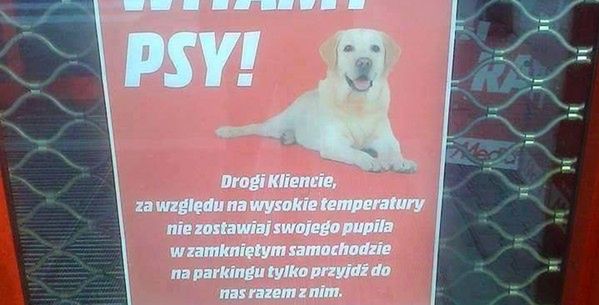 Pies zamknięty w samochodzie? Świetna reakcja sklepu