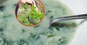 Zupa z pokrzywy - naturalny sposób na wzmocnienie. Czas zbiorów już się rozpoczął