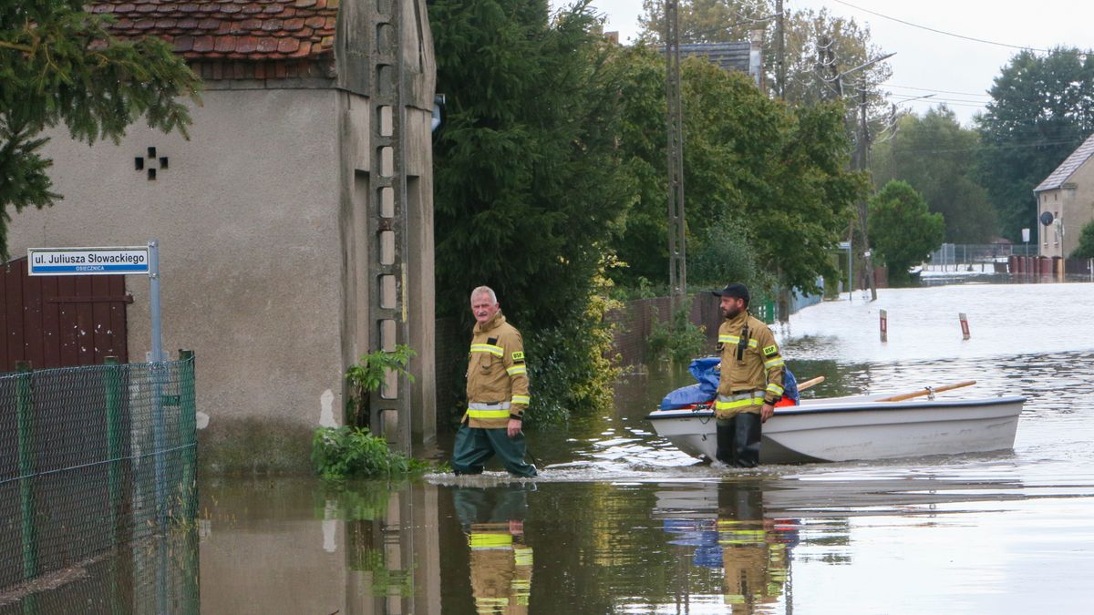 Osiecznica (woj. lubuskie), 24.09.2024. Dynamiczna sytuacja powodziowa. Wysoki stan wody w Odrze w miejscowości Osiecznica, 24 bm. Fala kulminacyjna przepływa przepływa przez województwo lubuskie. (aldg) PAP/Lech Muszyński