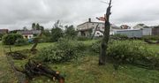 Rzeszów: Gorący lipiec dla Państwowej Straży Pożarnej na Podkarpaciu