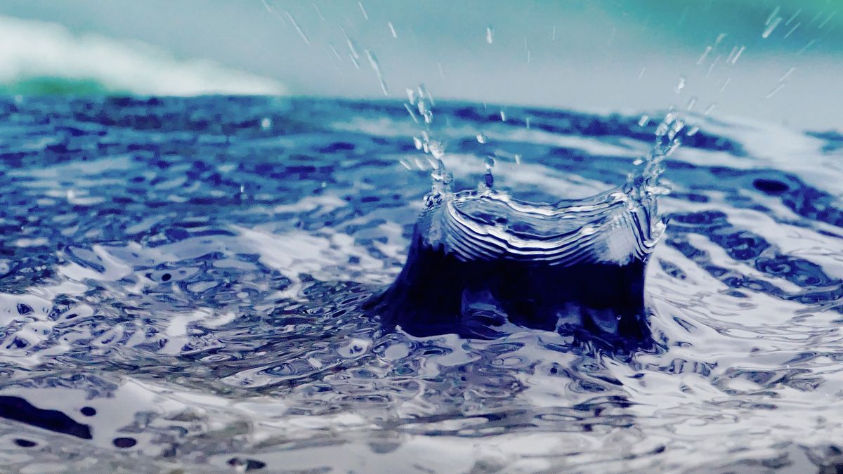 Deszczówkę opłaca się zbierać