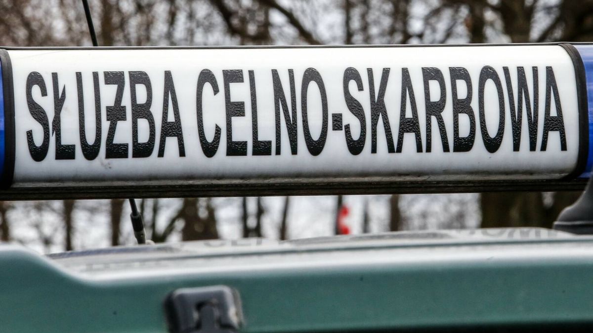 W 2025 r. wzrosną kary za przestępstwa i wykroczenia skarbowe