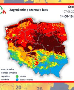 Ekstremalne zagrożenie pożarowe w Polsce. Tu trzeba szczególnie uważać