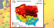 Ekstremalne zagrożenie pożarowe w Polsce. Tu trzeba szczególnie uważać