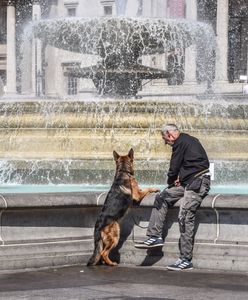 Właściciele zwierząt przerażeni. Iran o krok od zakazu posiadania czworonogów