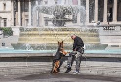 Właściciele zwierząt przerażeni. Iran o krok od zakazu posiadania czworonogów