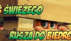 Biedronka zapowiada kontynuację promocji „Gang świeżaków” (wideo)