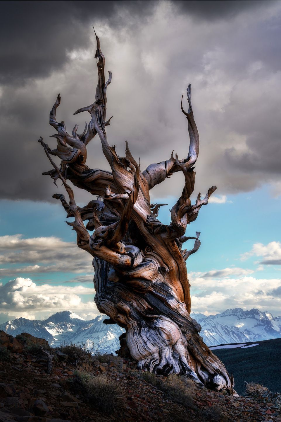 International Landscape Photographer of the Year 2019 – wyniki konkursu 10