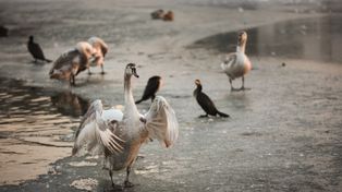 Polska zmrożona. Kiedy wreszcie przyjdzie ocieplenie?