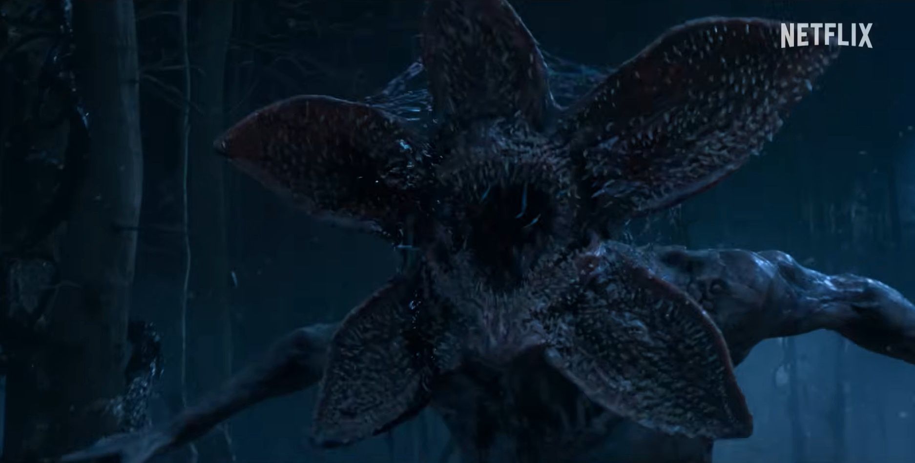 Kadr z serialu "Stranger Things"