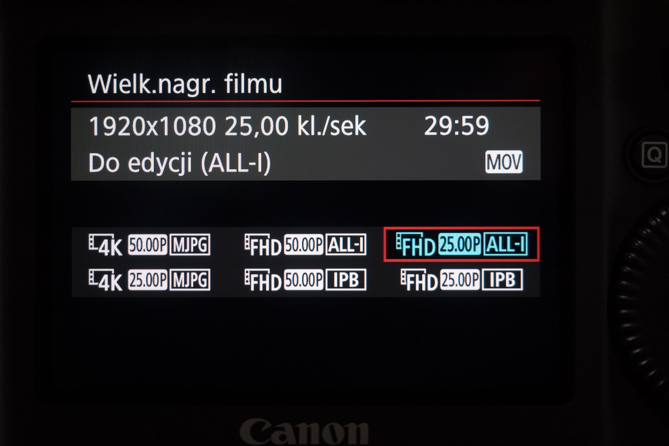 Canon EOS-1D X Mark II - test najszybszej lustrzanki na świecie 35