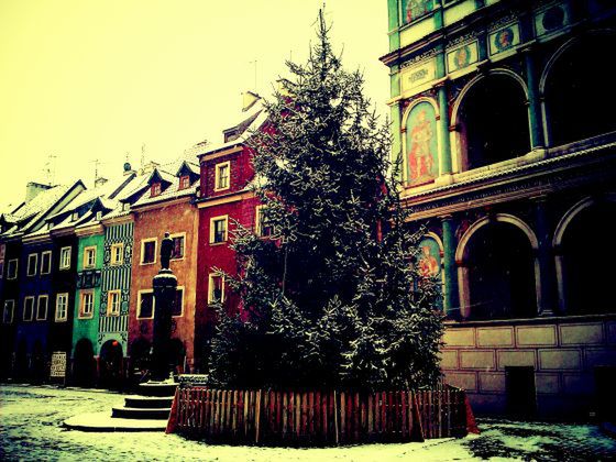 Albumy MECEK.KOM wędrują do... [galeria] 4