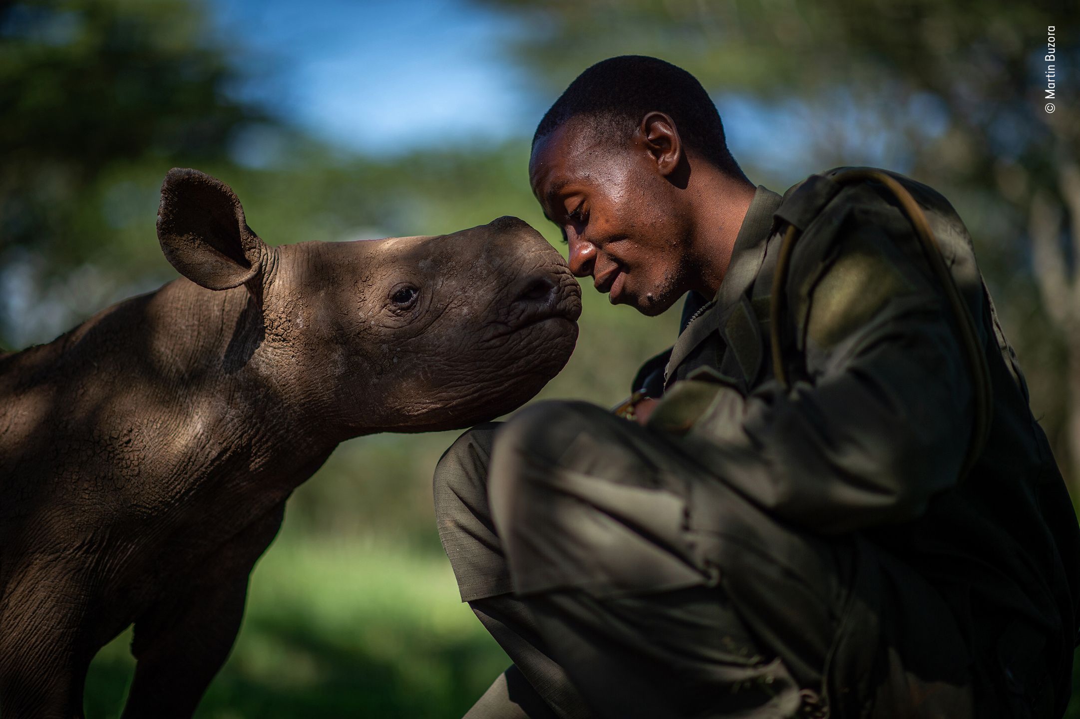 Finaliści nagrody publiczności w konkursie Wildlife Photographer of the Year 2019 13