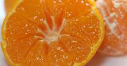 Orange wprowadza nielimitowane rozmowy, SMS-y i Internet