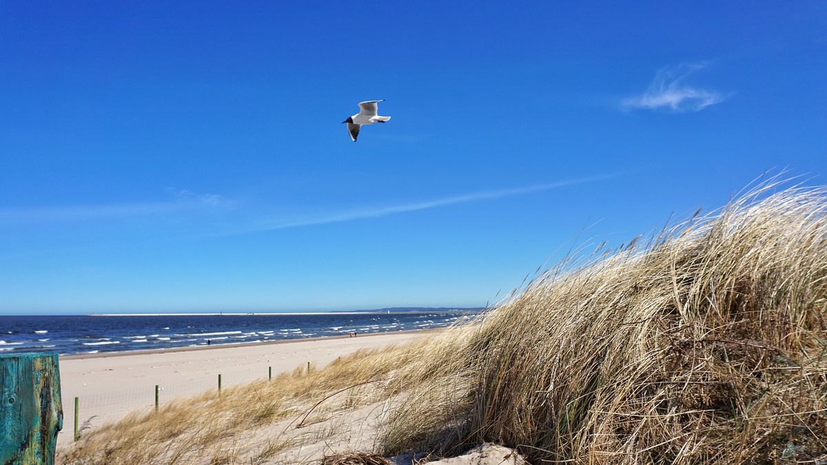 Bulwersująca postawa obywatela Niemiec