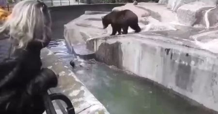Wtargnął na wybieg w zoo i zaczął bić niedźwiedzia. Nagranie z Warszawy