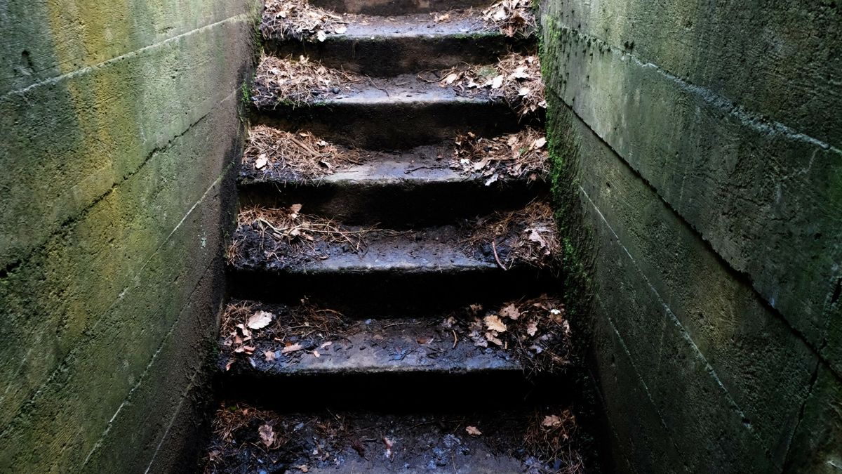 / zdjęcie ilustracyjne