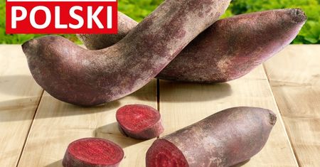 Krzywe buraki już w sprzedaży w Lidlu. Promocyjna cena