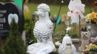 Bytom: Max, Reksio, Milo i inni. Na ich grobach też zapłoną znicze