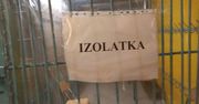 Tak wyglądają izolatki w szkołach podstawowych? Rzecznik Praw Obywatelskich i Dziecka zabrali głos