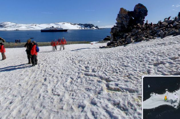 Google podgląda nawet pingwiny. Street View na Antarktydzie