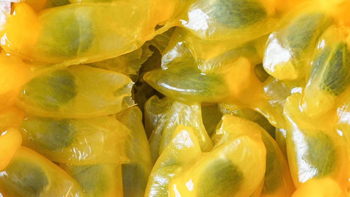 Marakuja ma dziwną skórkę, ale za to mnóstwo witamin