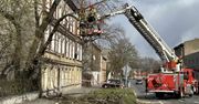 Inowrocław: Strażacy interweniowali przez silny wiatr