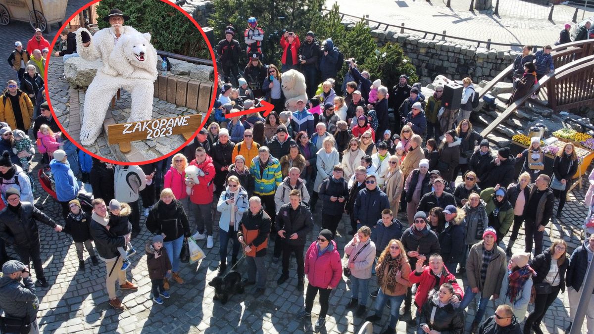 Zakopiańczycy pojawili się na Krupówkach, żeby okazać wsparcie prawdziwemu Białemu Misiowi