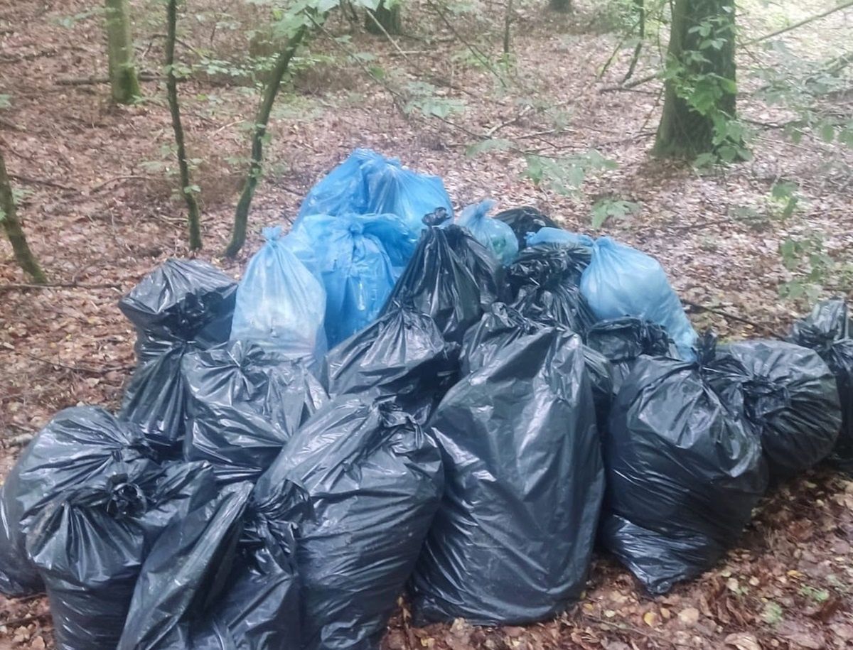 Ktoś zostawił taką pamiątkę w lesie. 1500 złotych kary