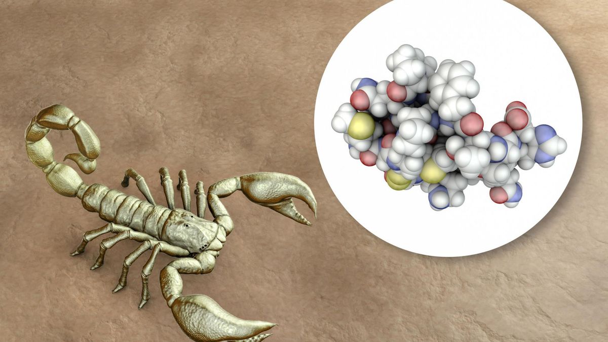 Glejak to złośliwy nowotwór mózgu, który bywa trudny do wyleczenia.