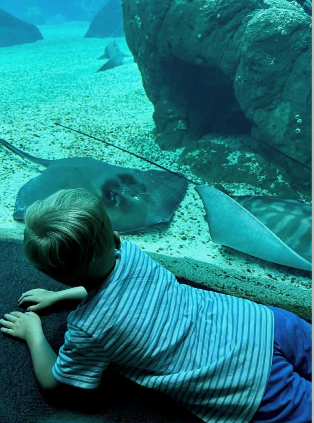 Anna Dereszowska pochwaliła się rodzinnymi kadrami