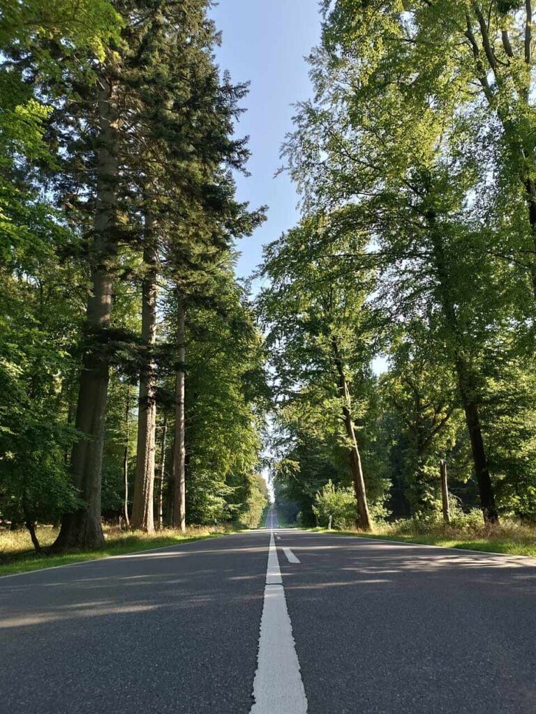  Park Jasmund - Rugia